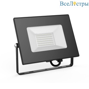 Прожектор светодиодный Gauss Elementary 50W 613100650