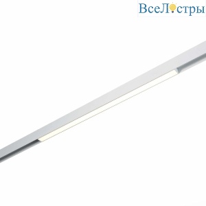 Трековый светодиодный светильник ST Luce Skyline 48 ST360.536.20