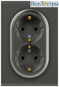 Розетка Эра Arktik 16-2105-06 двойная с заземлением 2X2P+E Schuko со шторками 16А-250В графит Б0070459