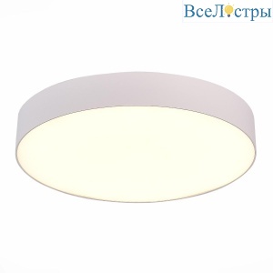 Потолочный светодиодный светильник ST Luce ST606.532.48