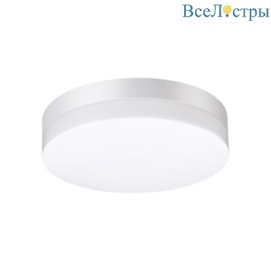 Уличный настенно-потолочный светильник Novotech Street 358881