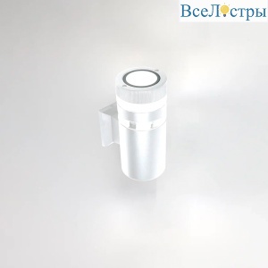 Уличный настенный светильник General Игнис GWL-Е27-M-IP65 662593