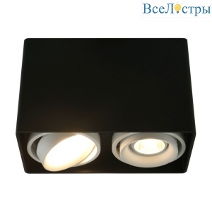 Потолочный светильник Arte Lamp A5655PL-2BK