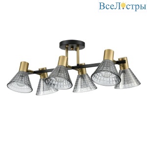 Потолочная люстра Lumion Anriya 8044/6C