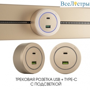 Трековая розетка Arte Milano Am-track-sockets-39 399731TS/USB-Type-C Gold