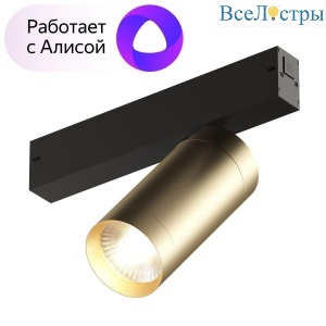Трековый светодиодный светильник Denkirs Smart Spot DK8020-BG