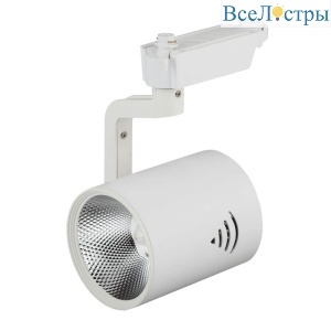 Трековый светильник ЭРА TR1 - 30 WH Б0032099