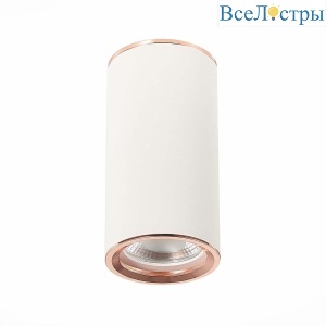 Потолочный светильник ST Luce Chomus ST111.527.01