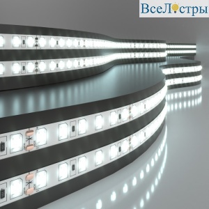 Светодиодная лента Elektrostandard 24V 9,6W 120Led 2835 IP20 холодный белый, 5м 4690389167515