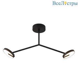 Потолочный светильник Favourite Paritet 4401-2C