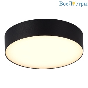 Уличный потолочный светильник ST Luce Sun SL9518.402.01