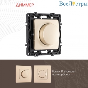 Диммер Arte Milano 217.48-1.shampan