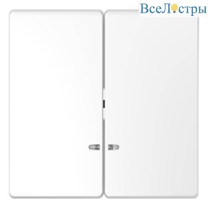 Клавиша двойная Schneider Electric Merten D-Life MTN3420-6035