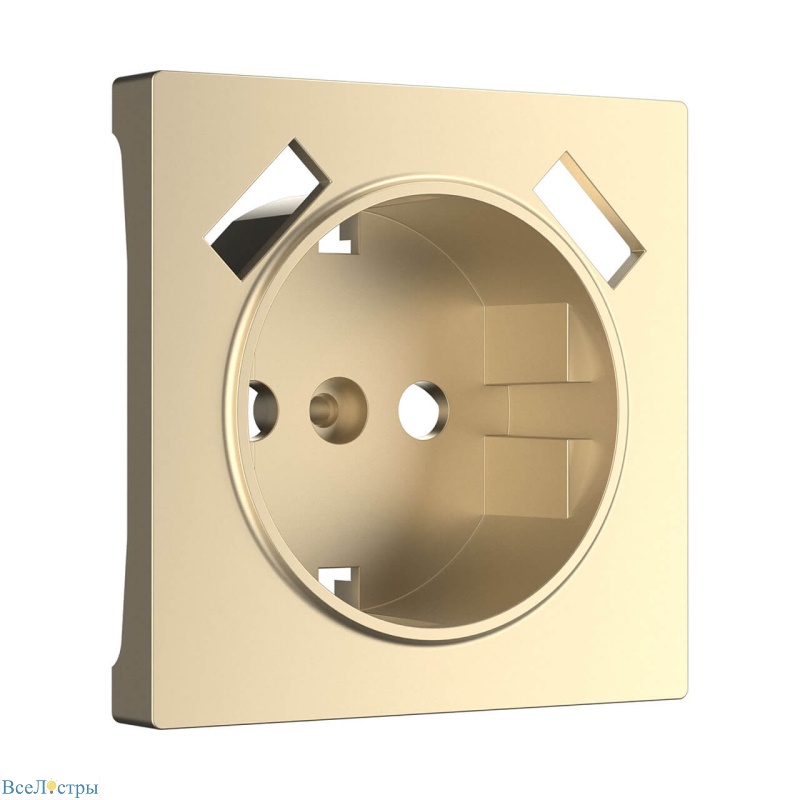 накладка для розетки usb werkel шампань w1179511 4690389157462