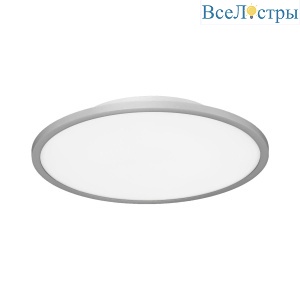 Потолочный светильник Evoluce Тассен SLE1811-102-01