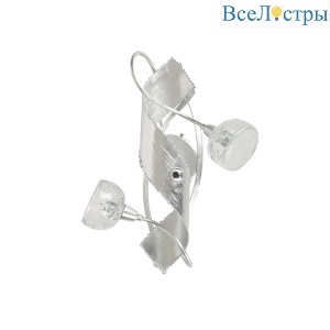Настенный светильник MM Lampadari 6520/A2 V1021 XP