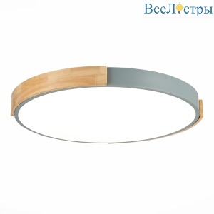 Потолочный светильник Evoluce Delia SLE201372-01