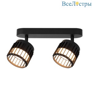 Спот Arte Lamp Atria A8031PL-2BK