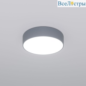 Потолочный светильник Eurosvet Entire 90318/1 серый a062827