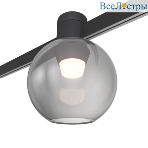 Магнитный трековый светильник ST Luce Farm ST819.406.03
