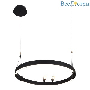 Подвесная люстра F-Promo Slinga 4474-1P