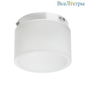 Кольцо декоративное Lightstar Rullo 202431