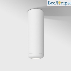 Потолочный светодиодный светильник Elektrostandard Onde 25045/LED 10W 4000K белый a064197