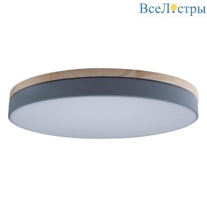Потолочный светодиодный светильник Loft IT Axel 10001/36 grey
