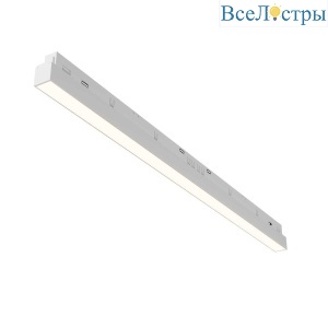 Трековый светодиодный светильник Maytoni Technical Basis TR030-2-24W3K-W
