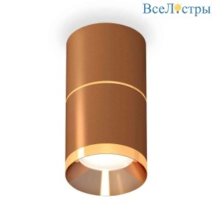 Комплект накладного светильника Ambrella light Techno Spot XS7404061 SCF/PYG кофе песок/золото желтое полированное (C7404, A2072, C7404, N7034)