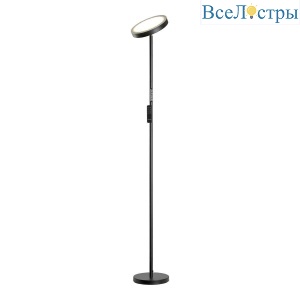 Торшер Lussole Carmel LSP-0901-SE
