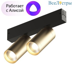 Трековый светодиодный светильник Denkirs Smart Spot DK8012-BG
