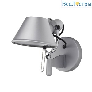 Спот Favourite Legend 1869-1W