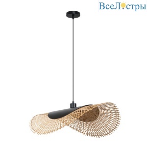 Подвесной светильник Arte Lamp Woodstock A7063SP-1BK