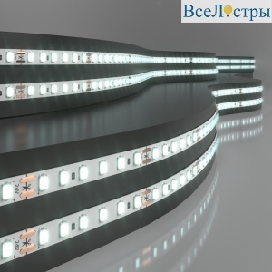 Светодиодная лента Elektrostandard 24V 8W 120Led 2116 IP20 холодный белый 5м 4690389176685