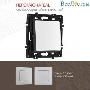 Переключатель одноклавишный перекрестный Arte Milano 217.34-1.silver