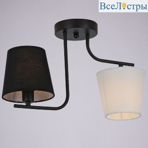Потолочный светильник Illumico IL8134-2COU-79 BK Beti
