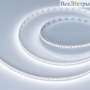 Светодиодная лента Arlight RT-A200-8mm 24V White6000-CX1 (16 W/m, IP20, 5m) 046938