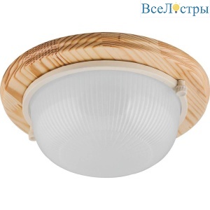 Настенно-потолочный светильник Feron НБО 0360011 11569