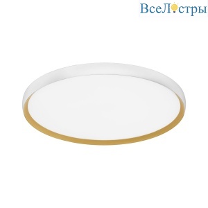 Потолочный светильник Evoluce Хельст SLE1810-502-01