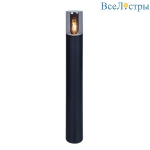 Уличный светильник Arte Lamp Wazn A6218PA-1BK