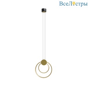 Подвесной светильник Maytoni Link MOD357PL-L14BS3K