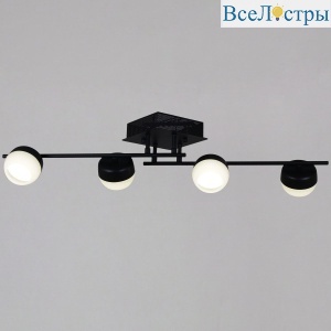 Потолочный светильник Reluce 11590-0.3-04 Black