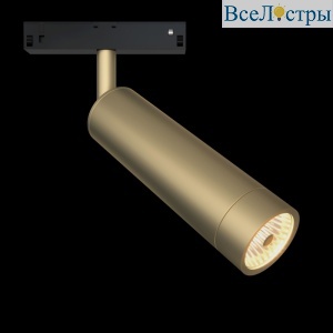 Трековый светильник Maytoni Focus LED  TR019-2-7W3K-MG