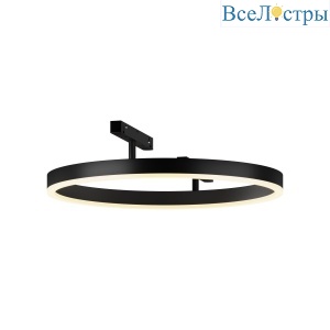 Трековый магнитный светильник Maytoni Rim TR227-2-24W3K-B