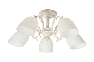 Потолочная люстра Myfar Biene MR2702-5C