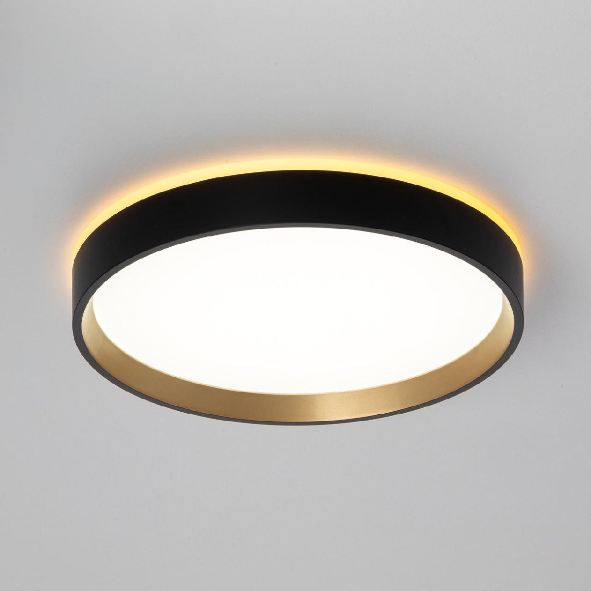 настенно-потолочный светильник citilux etalon cl750241