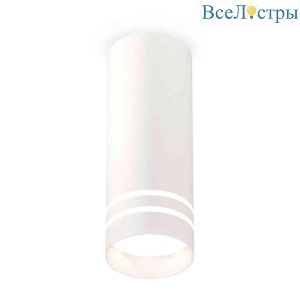 Комплект накладного светильника Ambrella light Techno Spot XS7442013 SWH/FR белый песок/белый матовый (C7442, N7141)