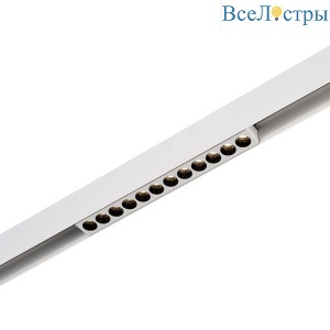 Трековый светодиодный светильник ST Luce ST806.546.12