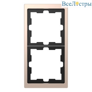 Рамка 2-постовая Schneider Electric Merten D-Life MTN4020-6551
